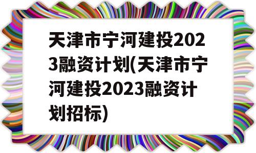 天津市宁河建投2023融资计划(天津市宁河建投2023融资计划招标)