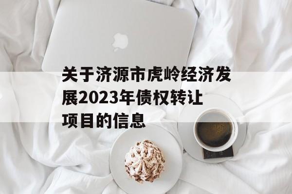 关于济源市虎岭经济发展2023年债权转让项目的信息