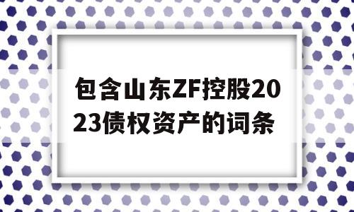 包含山东ZF控股2023债权资产的词条