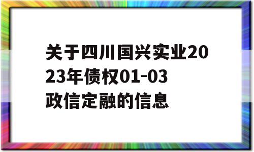 关于四川国兴实业2023年债权01-03政信定融的信息