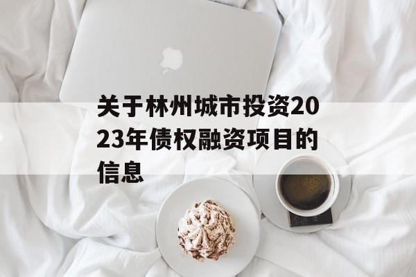 关于林州城市投资2023年债权融资项目的信息