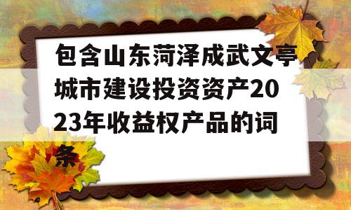 包含山东菏泽成武文亭城市建设投资资产2023年收益权产品的词条