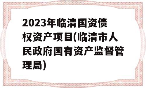 2023年临清国资债权资产项目(临清市人民政府国有资产监督管理局)