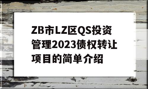 ZB市LZ区QS投资管理2023债权转让项目的简单介绍