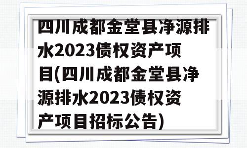 四川成都金堂县净源排水2023债权资产项目(四川成都金堂县净源排水2023债权资产项目招标公告)