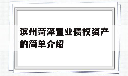 滨州菏泽置业债权资产的简单介绍