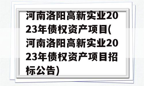 河南洛阳高新实业2023年债权资产项目(河南洛阳高新实业2023年债权资产项目招标公告)