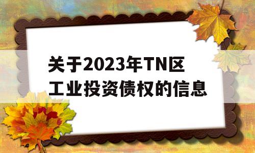 关于2023年TN区工业投资债权的信息