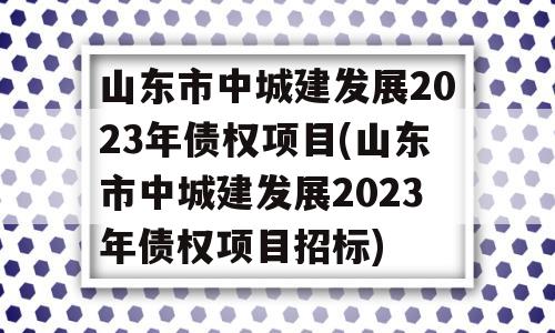 山东市中城建发展2023年债权项目(山东市中城建发展2023年债权项目招标)