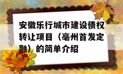 安徽乐行城市建设债权转让项目（亳州首发定融）的简单介绍