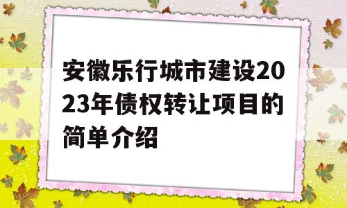 安徽乐行城市建设2023年债权转让项目的简单介绍