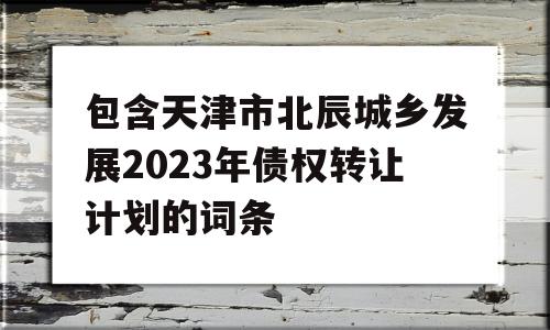 包含天津市北辰城乡发展2023年债权转让计划的词条