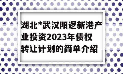 湖北*武汉阳逻新港产业投资2023年债权转让计划的简单介绍