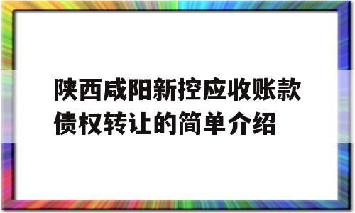 陕西咸阳新控应收账款债权转让的简单介绍