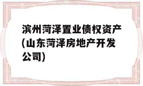 滨州菏泽置业债权资产(山东菏泽房地产开发公司)