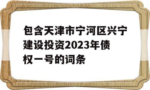 包含天津市宁河区兴宁建设投资2023年债权一号的词条