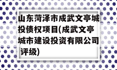 山东菏泽市成武文亭城投债权项目(成武文亭城市建设投资有限公司 评级)