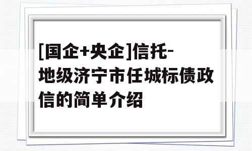 [国企+央企]信托-地级济宁市任城标债政信的简单介绍