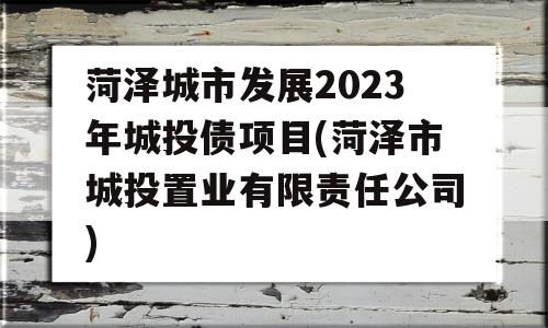 菏泽城市发展2023年城投债项目(菏泽市城投置业有限责任公司)