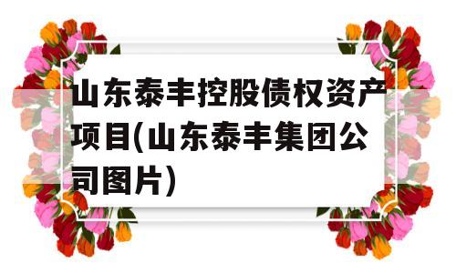 山东泰丰控股债权资产项目(山东泰丰集团公司图片)