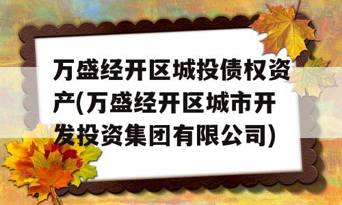 万盛经开区城投债权资产(万盛经开区城市开发投资集团有限公司)