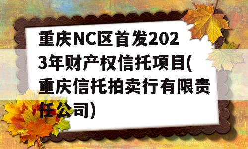 重庆NC区首发2023年财产权信托项目(重庆信托拍卖行有限责任公司)