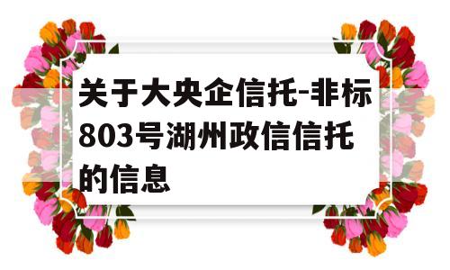 关于大央企信托-非标803号湖州政信信托的信息