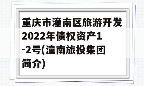 重庆市潼南区旅游开发2022年债权资产1-2号(潼南旅投集团简介)