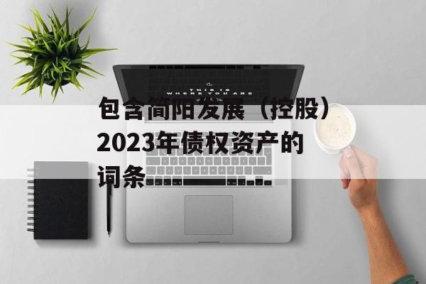 包含简阳发展（控股）2023年债权资产的词条