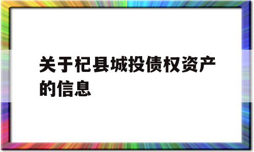 关于杞县城投债权资产的信息