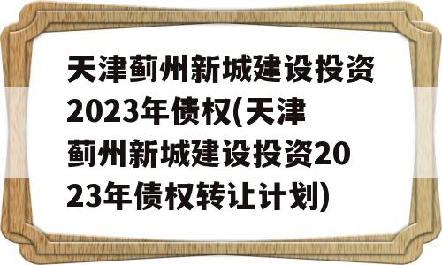 天津蓟州新城建设投资2023年债权(天津蓟州新城建设投资2023年债权转让计划)