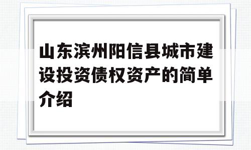 山东滨州阳信县城市建设投资债权资产的简单介绍