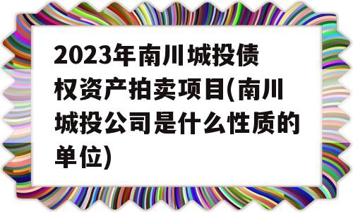 2023年南川城投债权资产拍卖项目(南川城投公司是什么性质的单位)