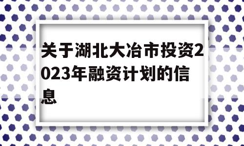 关于湖北大冶市投资2023年融资计划的信息