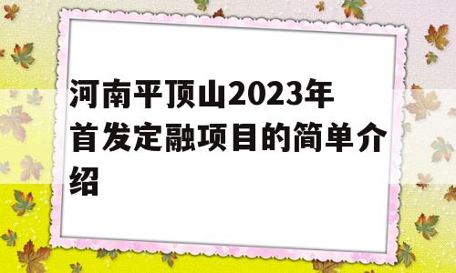 河南平顶山2023年首发定融项目的简单介绍