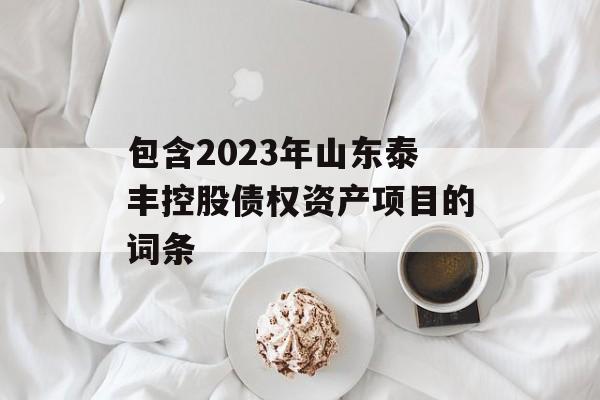 包含2023年山东泰丰控股债权资产项目的词条