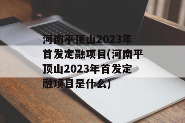 河南平顶山2023年首发定融项目(河南平顶山2023年首发定融项目是什么)