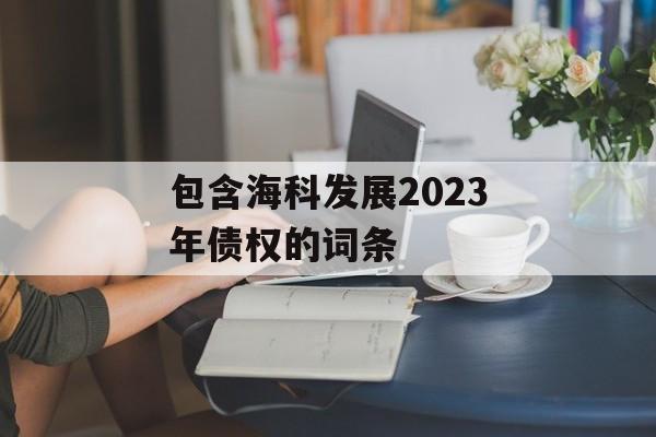 包含海科发展2023年债权的词条