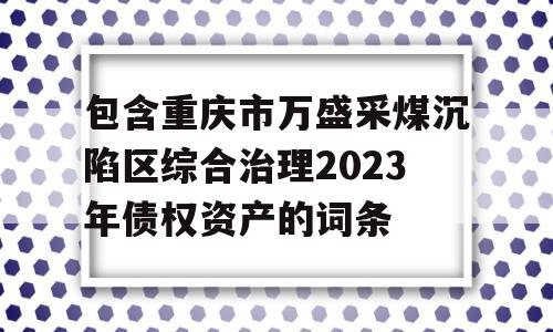 包含重庆市万盛采煤沉陷区综合治理2023年债权资产的词条