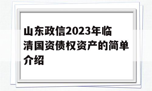 山东政信2023年临清国资债权资产的简单介绍