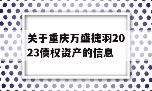 关于重庆万盛捷羽2023债权资产的信息