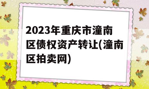 2023年重庆市潼南区债权资产转让(潼南区拍卖网)