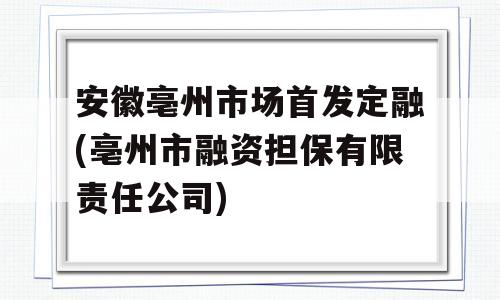 安徽亳州市场首发定融(亳州市融资担保有限责任公司)