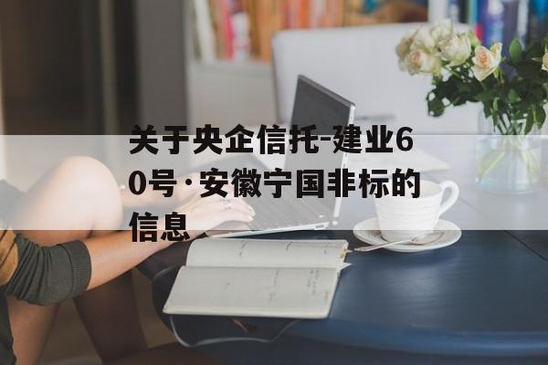 关于央企信托-建业60号·安徽宁国非标的信息