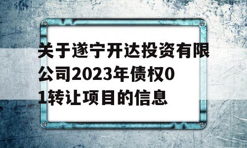 关于遂宁开达投资有限公司2023年债权01转让项目的信息