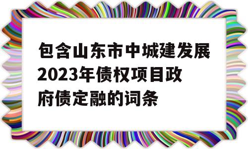 包含山东市中城建发展2023年债权项目政府债定融的词条