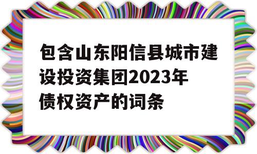 包含山东阳信县城市建设投资集团2023年债权资产的词条