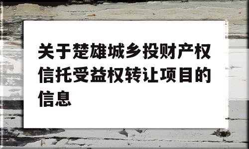 关于楚雄城乡投财产权信托受益权转让项目的信息