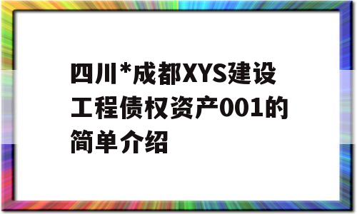 四川*成都XYS建设工程债权资产001的简单介绍