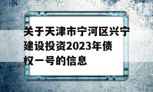 关于天津市宁河区兴宁建设投资2023年债权一号的信息